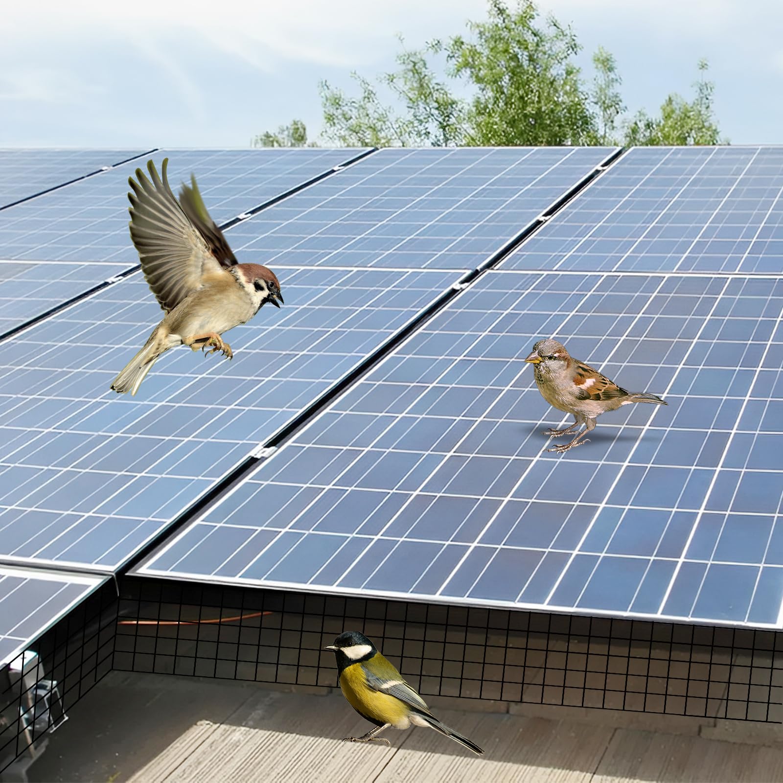 20CM*30M Rejilla de Protección Solar, Rejilla de Protección de Colector Solar, Rejilla de Protección de Aves, Malla de Acero Galvanizado y Recubierta para Protección de Roedores y Aves, Duradera y