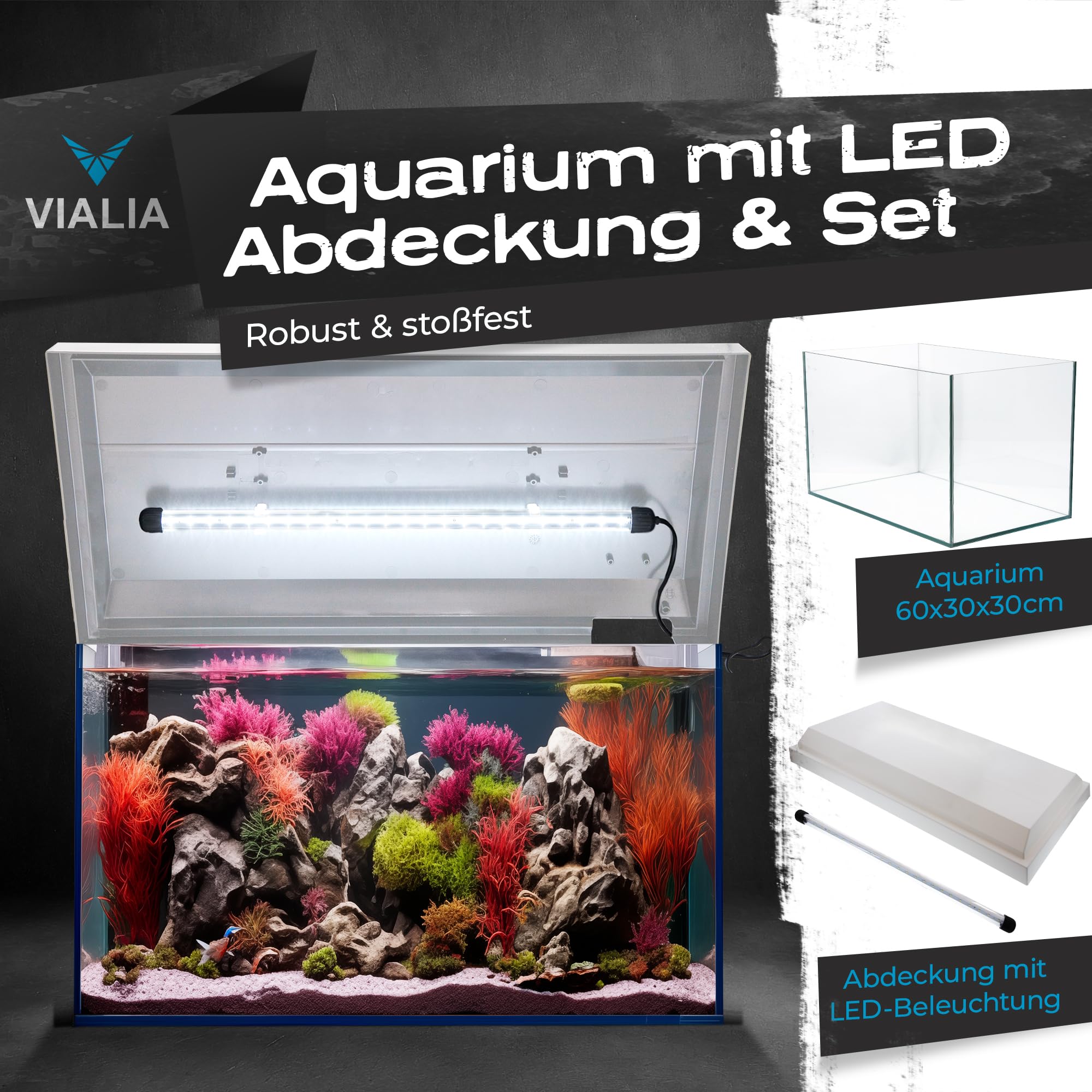 Aquarium Komplettset 54L (60x30x30 cm) mit Juwel LED Abdeckung weiß | Starter-Set inkl. Heizer, Thermometer, Futter & Wasseraufbereiter | Robustes Floatglas Becken | Ideal für Einsteiger