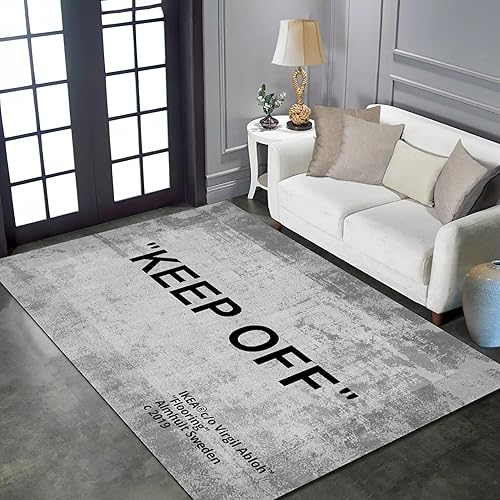 Alfombra con estampado 3D de color gris, moderna, grande, antideslizante, para dormitorio, sala de estar, sala de juegos, decoración del hogar, 4 x