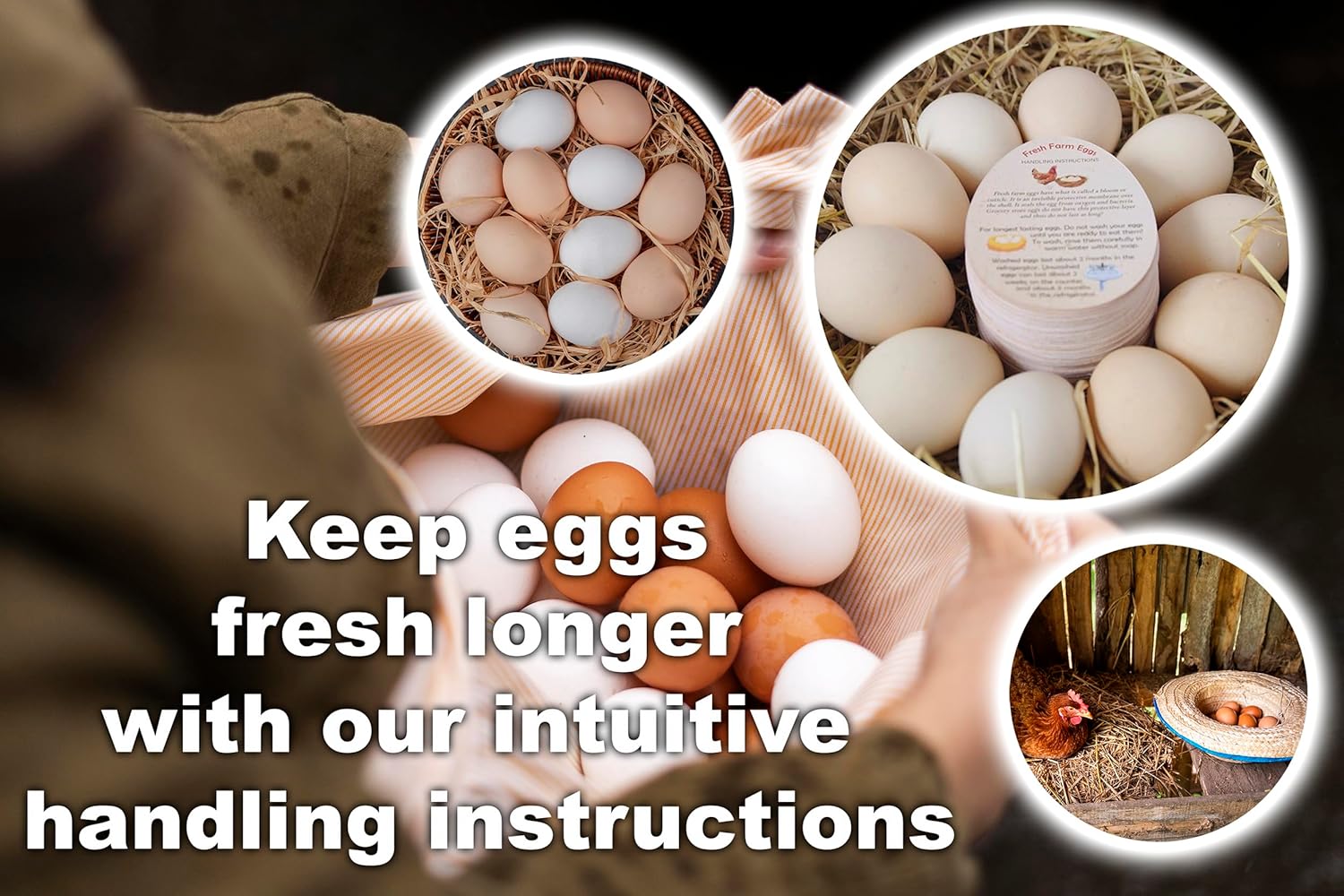 250 Pcs PREMIUM Fresh Farm Egg Handling Instruction Cards - 2.7 X 3.5 Inches - Egg Stamps For Eggs Care Egg Cartons Cheap Bulk - Egg Stamps For Fresh Eggs For Egg Cartons Reusable - Eggs Shape Style - Image 7