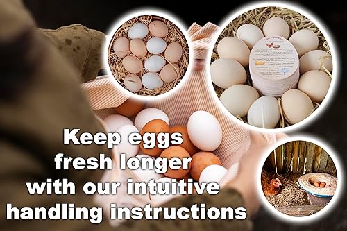 Miniatura 7 de 250 tarjetas de instrucciones de manejo de huevos frescos de granja de alta calidad  2.7 x 3.5 pulgadas  Sellos de huevos para el cuidado de los