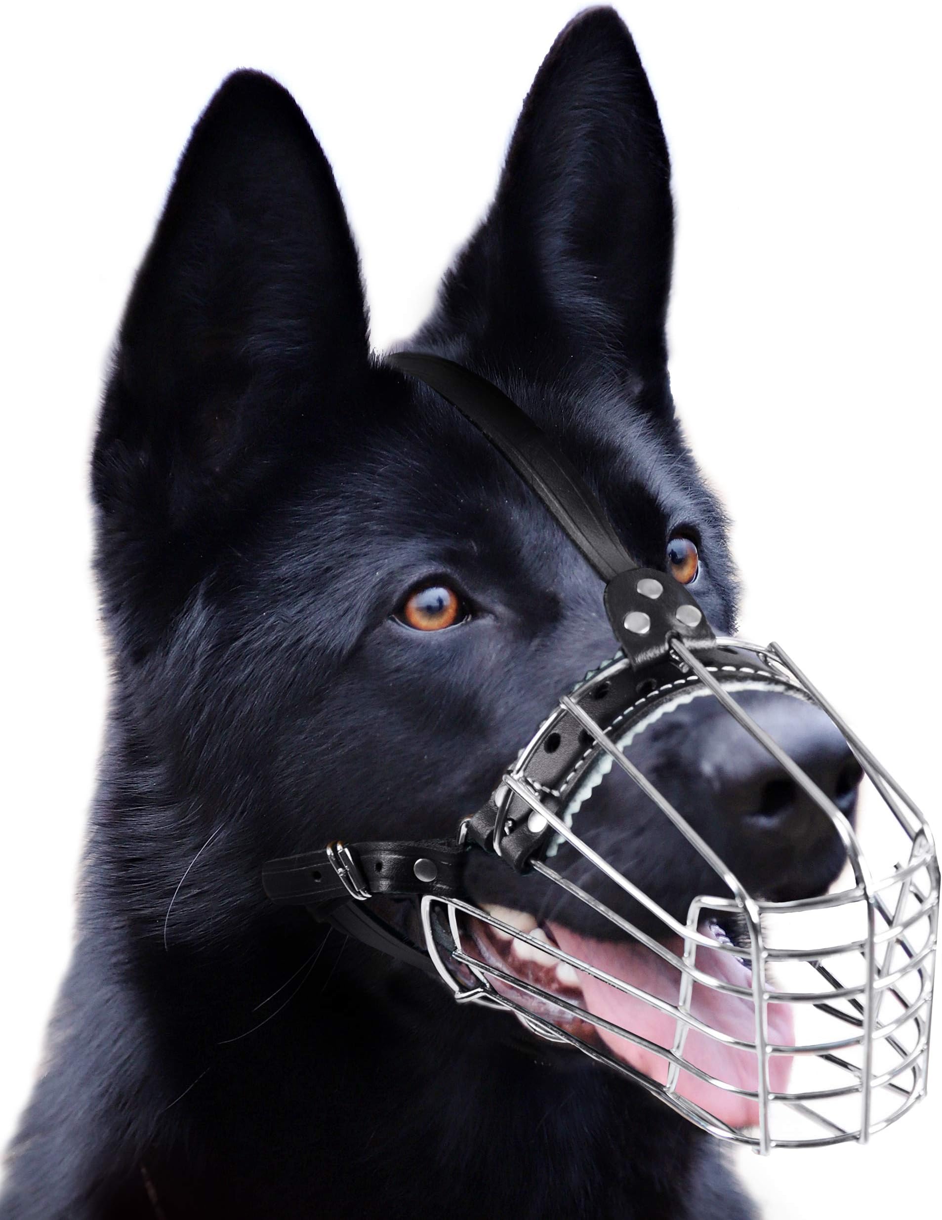 Dog Chrome Metal Muzzles Wire Basket Adjustable Leather Straps German Shepherd Reinforced (№1) Snout Circumference is 11. - 12.6 in Length is 4.3-4.7 in