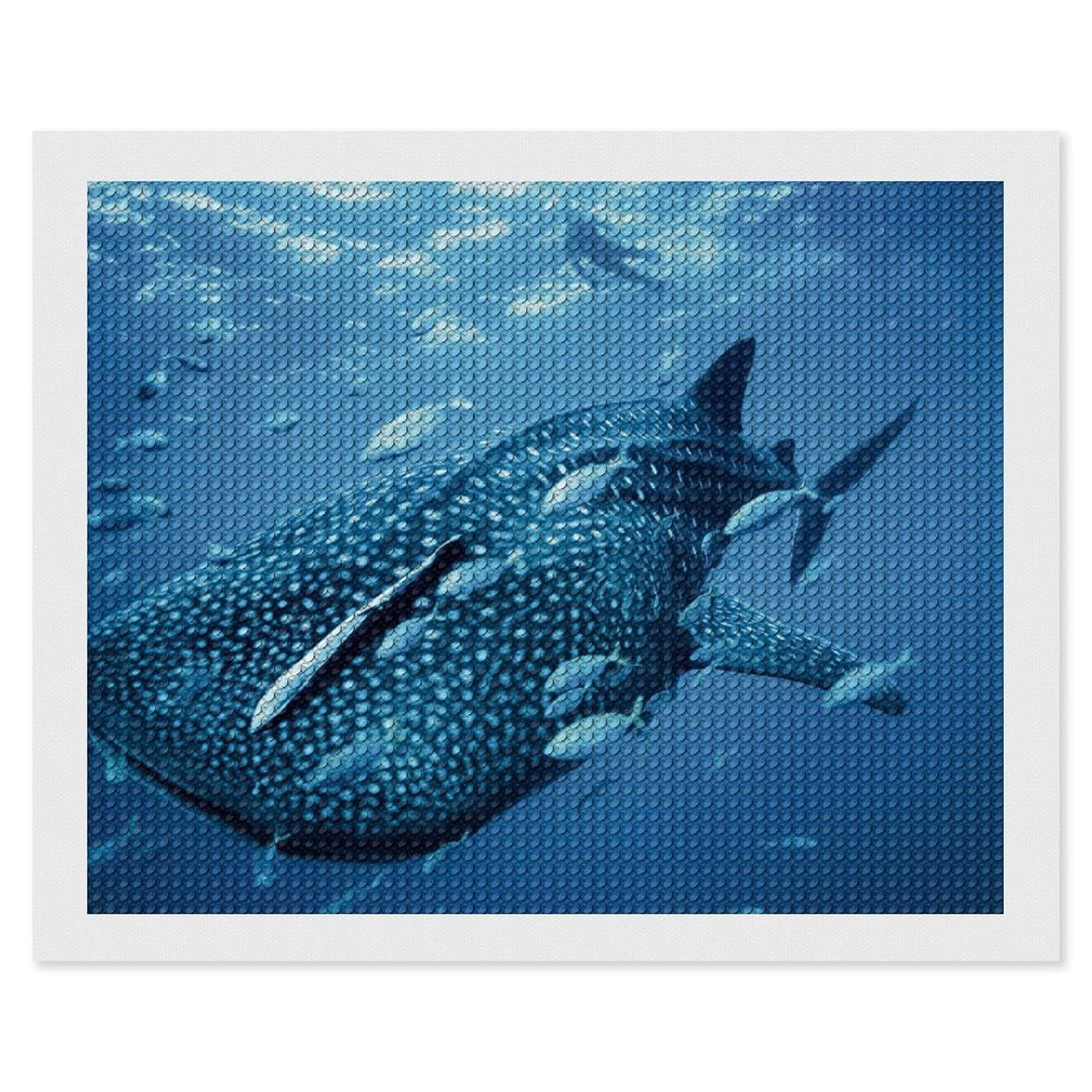 Amazon | ダイヤモンドアート ジンベイザメ 魚 海洋 ダイヤモンド絵画