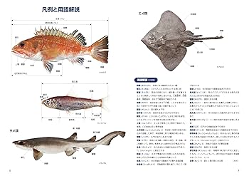 日本の深海魚図鑑: 岡本 誠, 本村 浩之: 9784635064040: Books