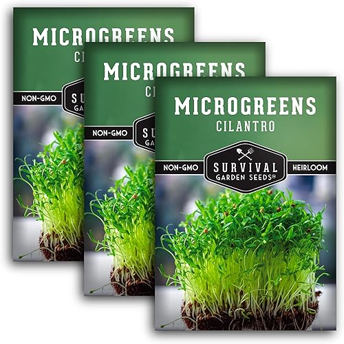 Miniatura 8 de 1 paquete de semillas de microgreens de cilantro para brotar y cultivar, brota plantas de microhierbas de hojas verdes en interiores, cultiva un