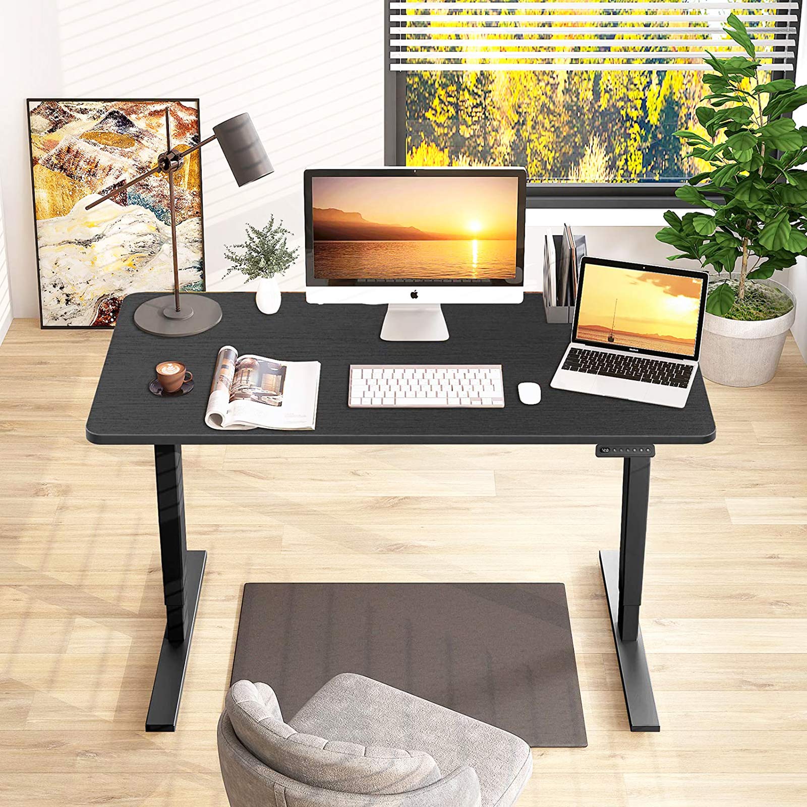 Buy MAIDeSITe Dual Motor Electric Height Adjustable Standing Desk, 48 x