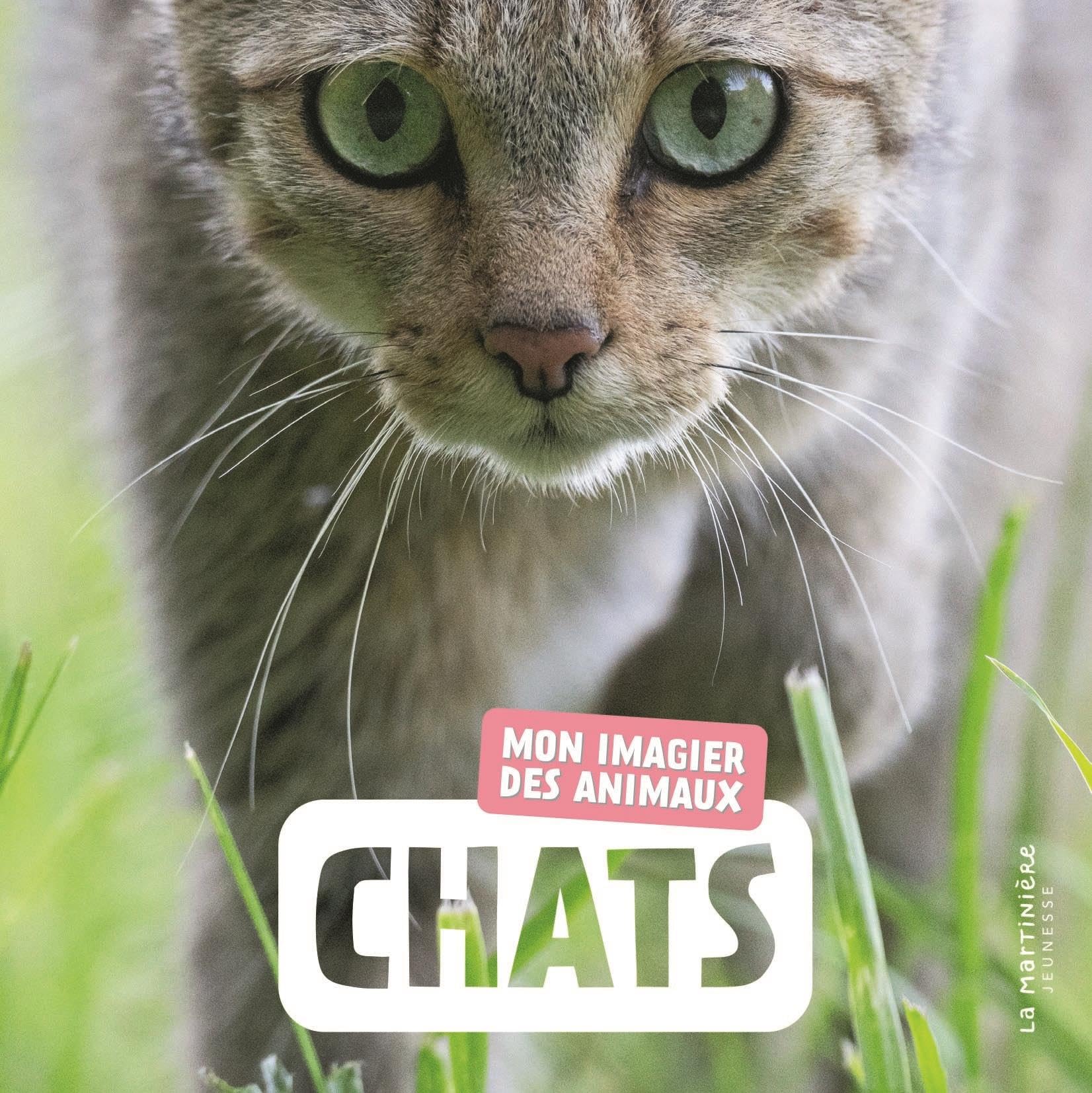Chats: Mon imagier des animaux
