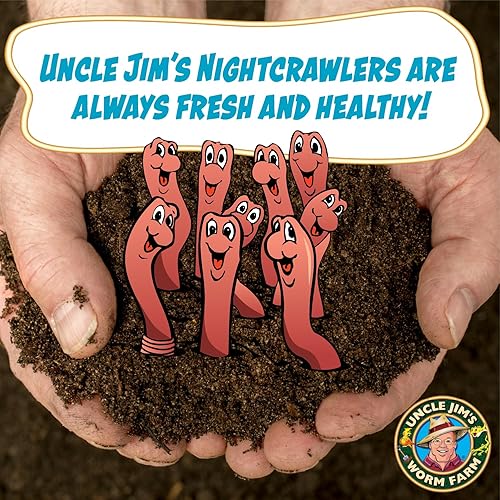 Miniatura 4 de Uncle Jim's Worm Farm 500 unidades de Nightcrawlers europeos súper rojos para compostaje y aireación del suelo de jardín  Los grandes rastreadores