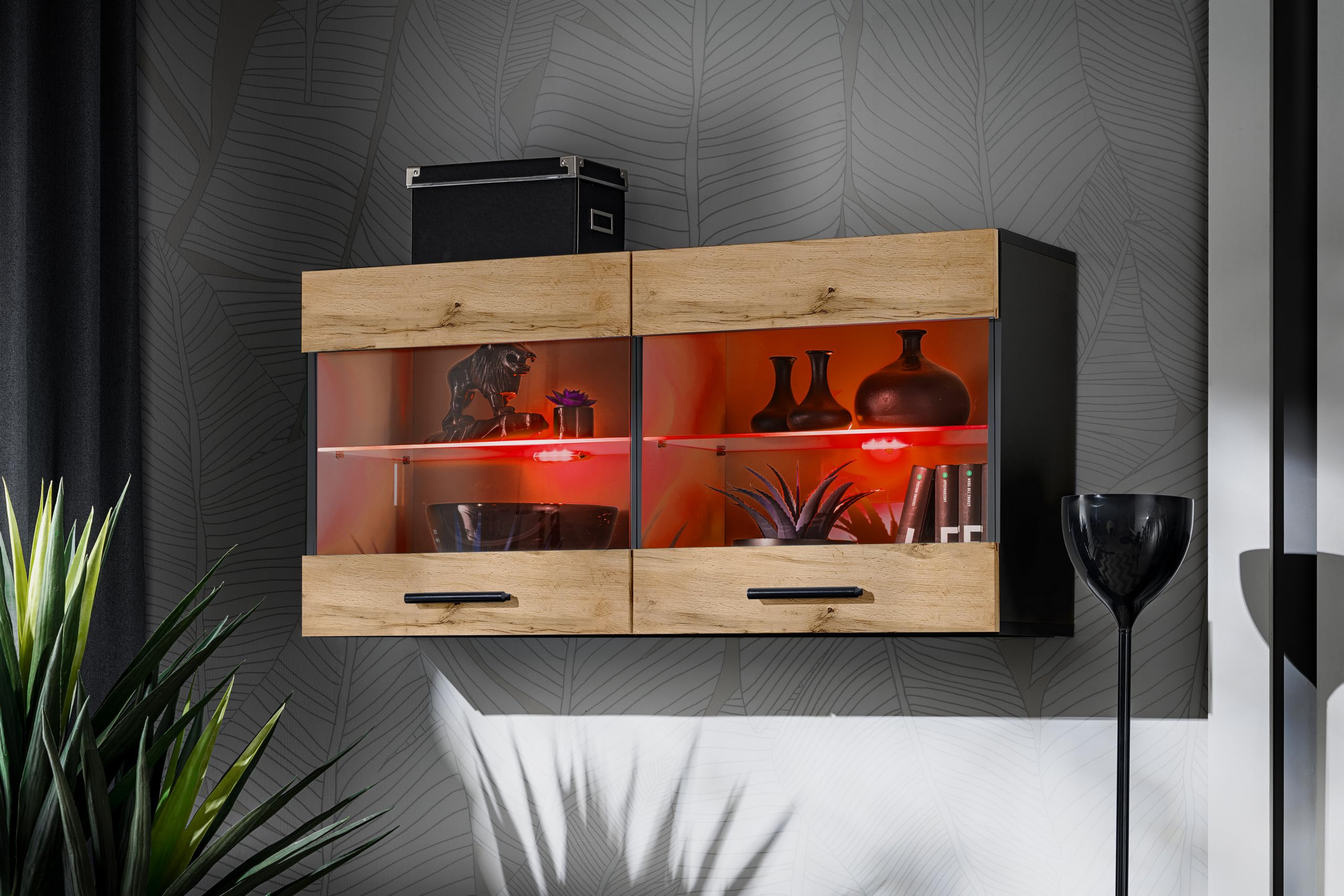 Komodee, Vitrine Schrank Savona, Breite 100cm x Höhe 50cm x Tiefe 30cm, 2 Glasböden, 2 Türen, für Wohnzimmer, Küche