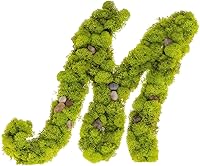 Vista 4 de Iniciales de monograma preservadas Moss Letter Art Design & Decor Arreglo de pared - Personalízalo