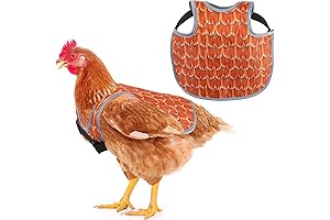 Chicken Aprons & Saddles: Protective Layers for Your Hens