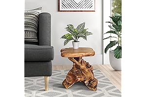 14"x13" Natural Irregular Shape Tree Stump End Table