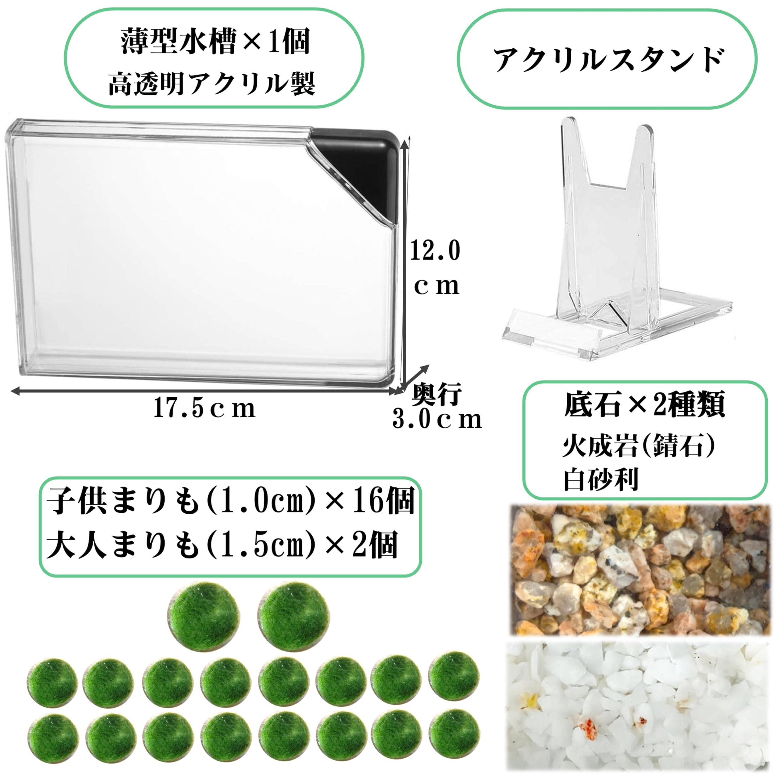 Amazon | まりも 18個 薄型水槽付き 飼育セット | 緑のふるさと