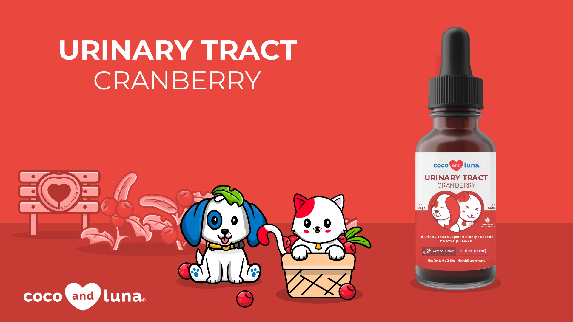 Watch Urinary Tract Support for Cats and Dogs - Cranberry on Amazon Live