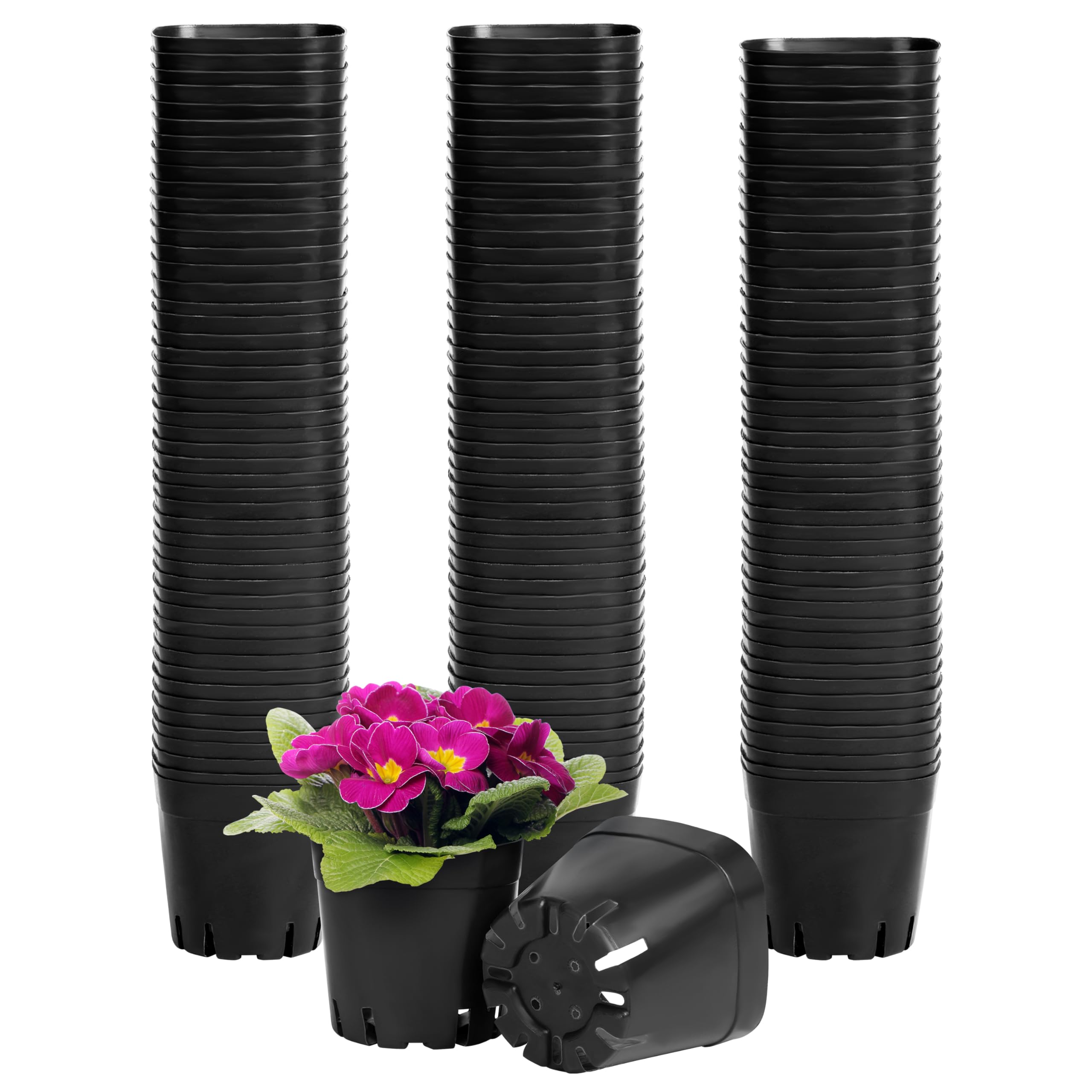 BELLE VOUS Pack de 150 Tiestos para Plantas de Plástico Cuadrados en Viveros - 6,5 x 6,5 x 6,2 cm - Duraderos Maceteros Exterior/Interior para Semillas, Suculentas, Vegetales, Jardines (Negro)