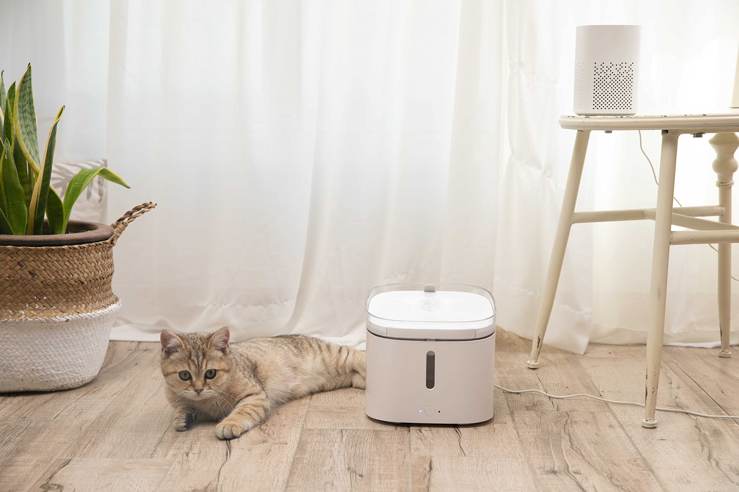 Distributore di Acqua per Animali Domestici, Dispenser Acqua Gatti, Erogazione Silenziosa, Dispenser Automatico, Controllo Remoto con App