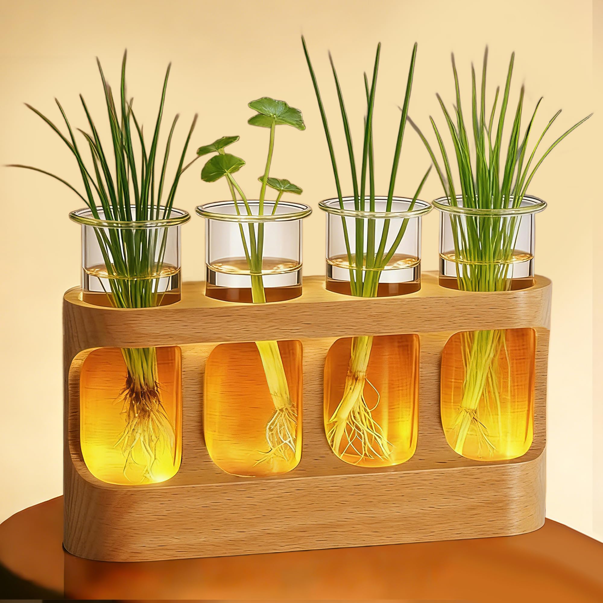 Light Up Propagation Station, Plant Propagation Station Terrarium Planter