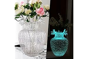Exquisite Glass Vase for Floral Displays and Home Decor