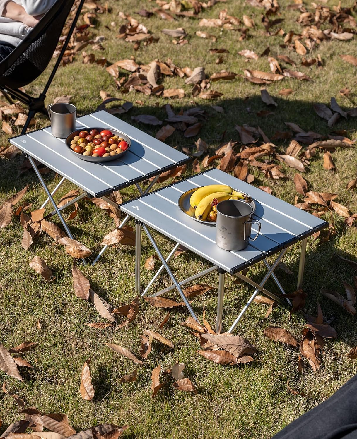 iClimb Ultralight Compact Camping Folding Table with Carry Bag (Reinforced Silver - S)
