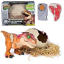 Primal Hatch Jurassic World, Dinosauro Interattivo con Uovo, Fai Schiudere e Addestra il Tuo Cucciolo di Dinosauro con Oltre 100 Suoni e Reazioni, Giocattolo per Bambini e Bambine, 5+ Anni