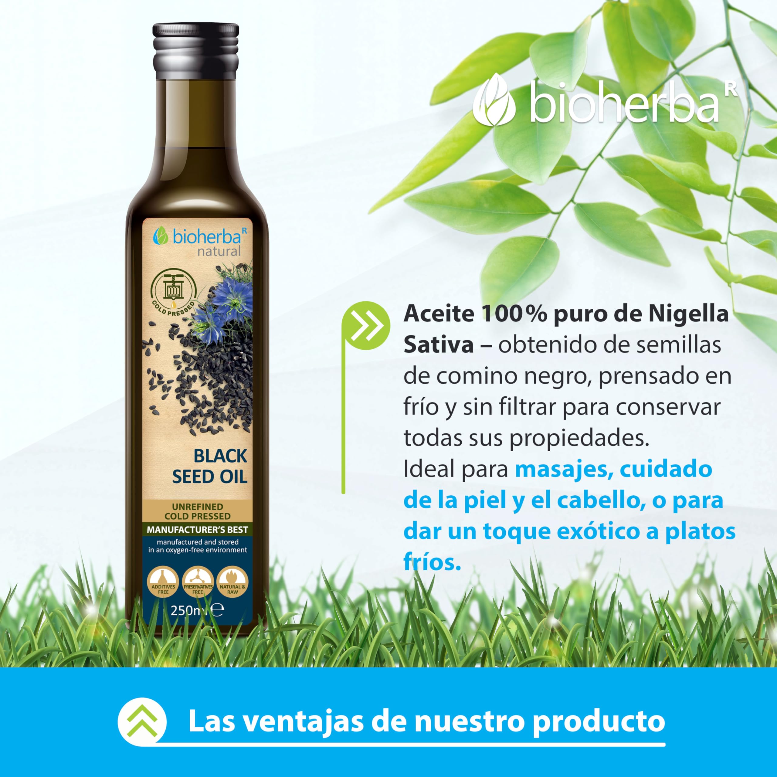 4 Aceite de semillas de Nigella Sativa 250 ml cold pressed by BIOHERBA – aceite natural para piel, cabello, masajes y cocina – prensado en frío, puro vidrio (1000)