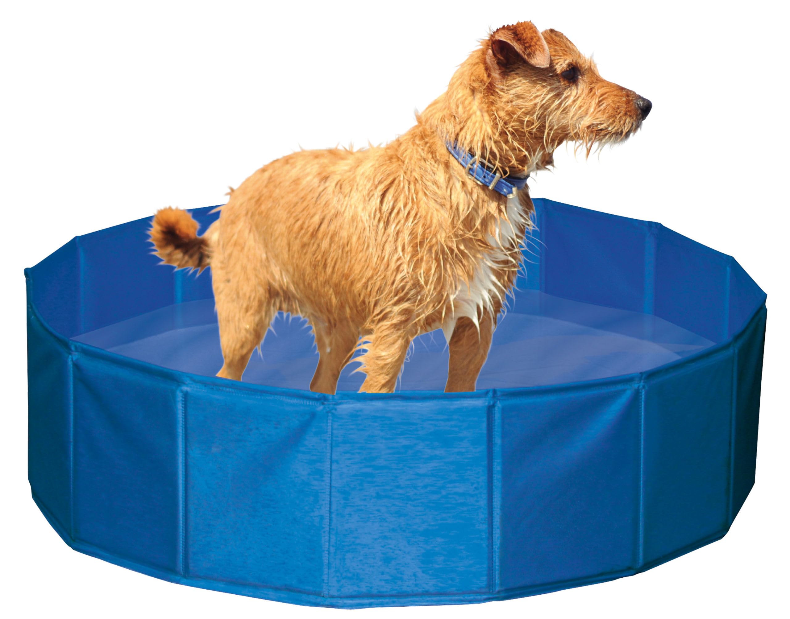 Kerbl Pet Piscina para perros, cuenco para perros, altura 30 cm, azul, 120 cm, plástico, resistente a arañazos, fácil de montar y desmontar