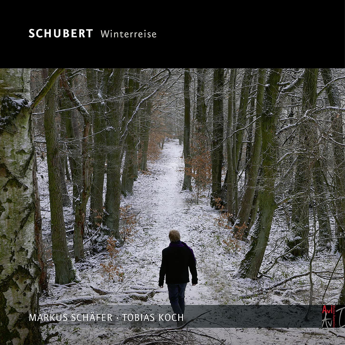 Schubert: Die Winterreise