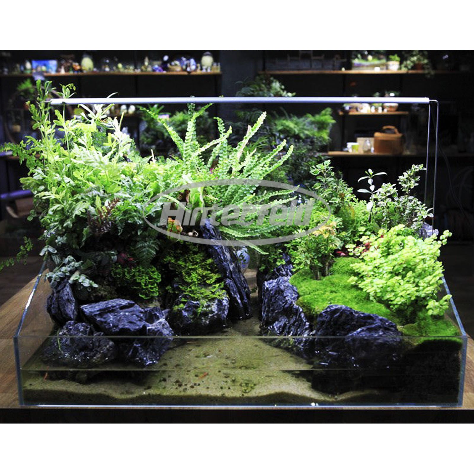 Amazon.co.jp: Chihiros A-Series-Plus（A +）水族館スーパーLED 