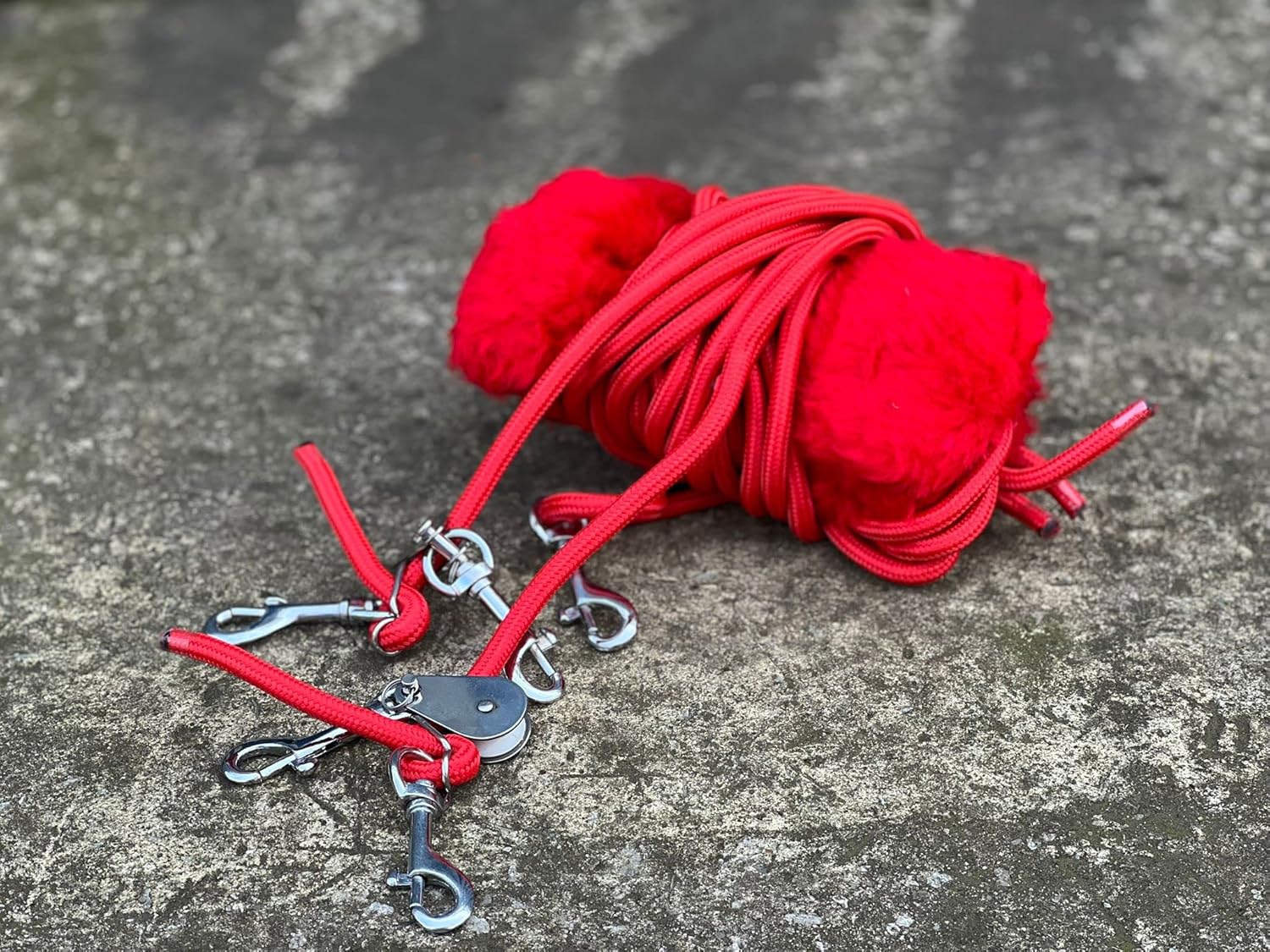 Equipride Pessoa Based Horse Training Aid Lunging System (Red) Amazon