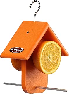 Kettle Moraine Recycled Single Oriole Orange Fruit Feeder - coolthings.us