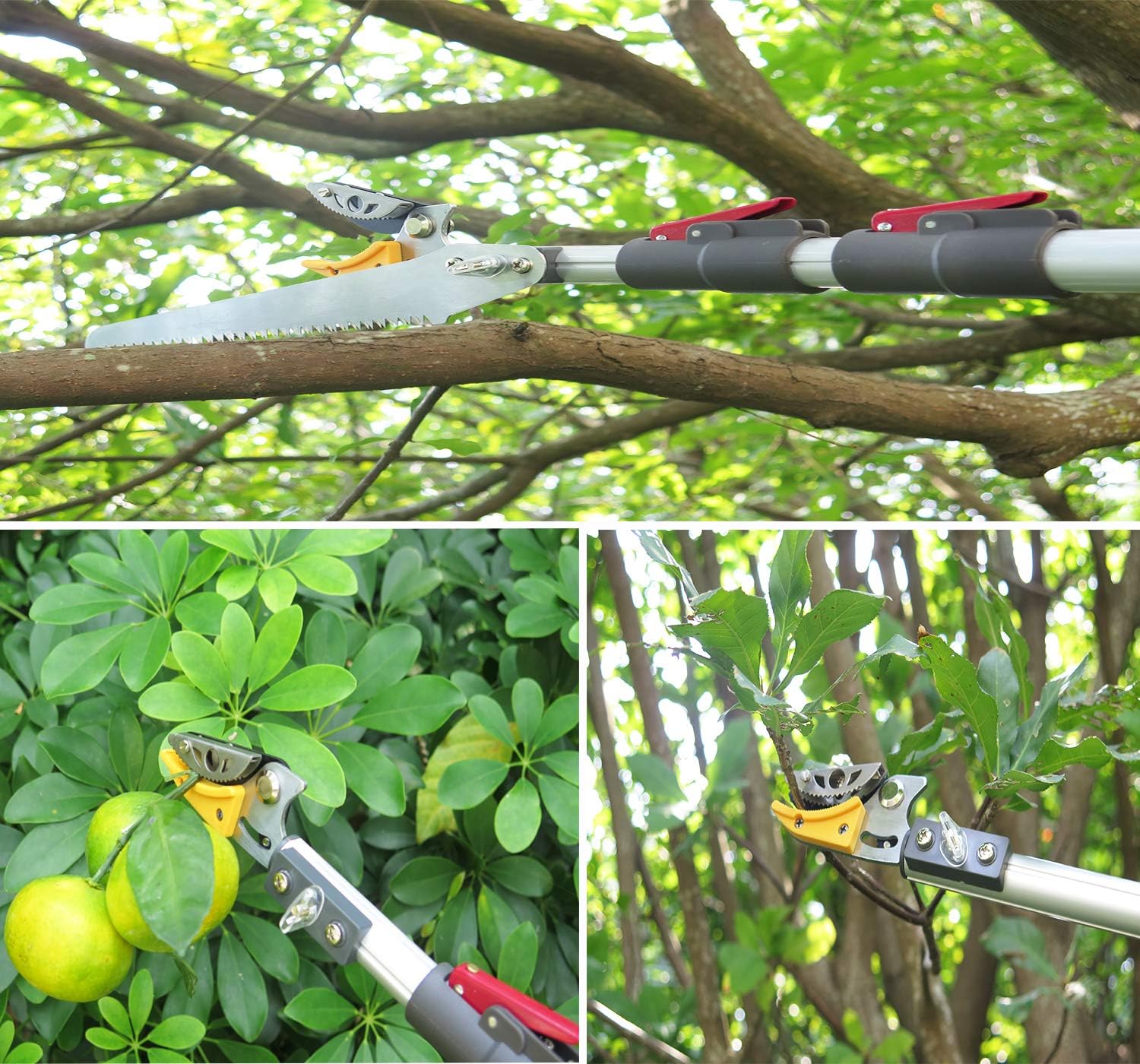 TOP оƒƒERS Mesoga 4.6-10 Foot Extendable Tree Pruner, Cut and Hold Pruning Trimmer, Long Reach Pole Saw, Telescoping Fruit Picker, Branches Bypass Lopper