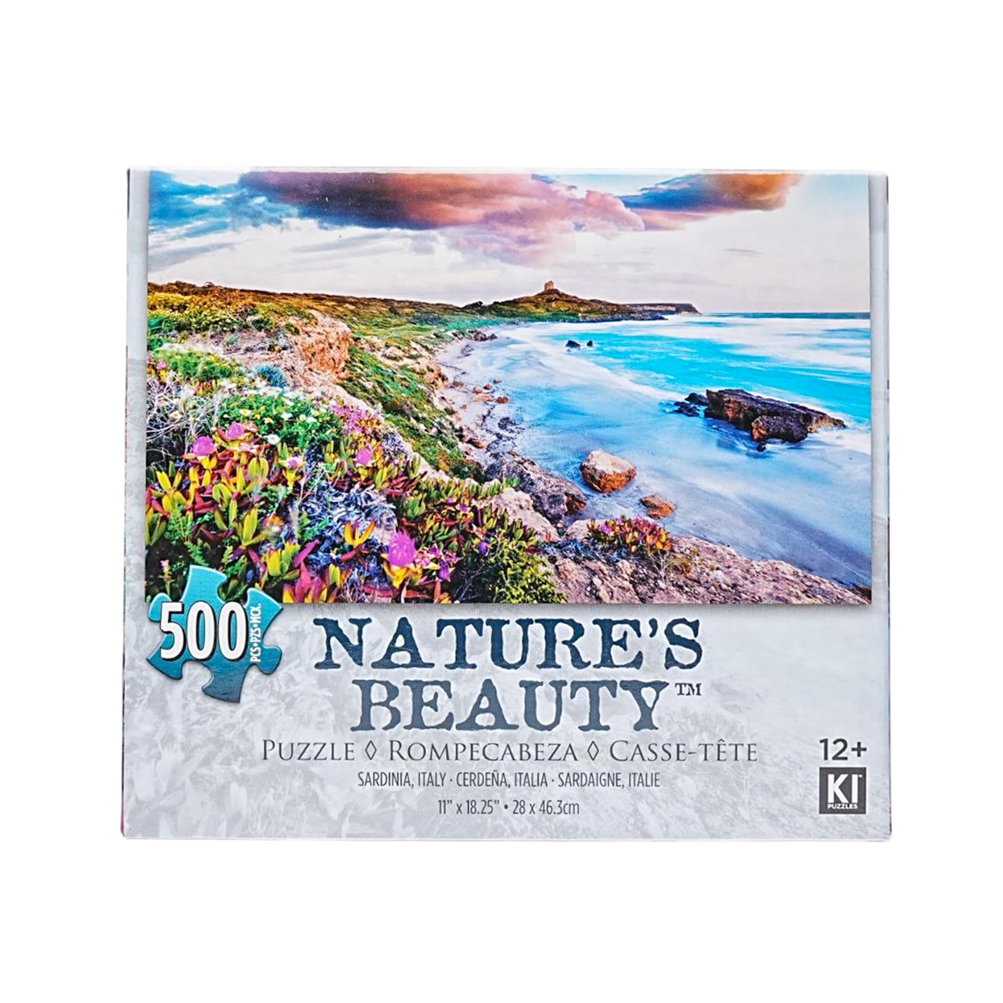 Amazon.com: Pink Sky Beach 500 Piece Natures Beauty Jigsaw Puzzle