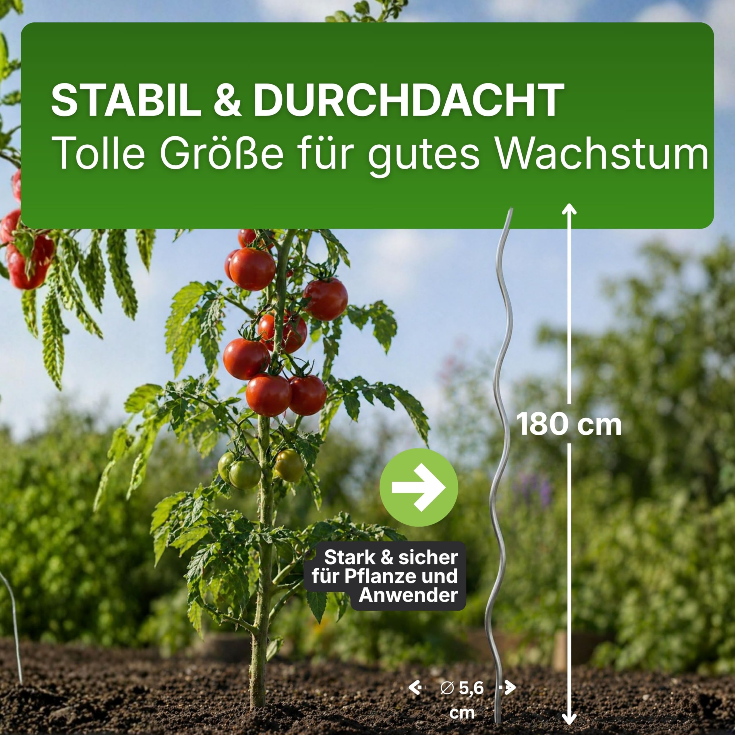 Gartenwelt Riegelsberger Tomatenspirale 180 cm – 20 Stück Tomatenstäbe aus Stahl Ø 5,6 mm, stabile Pflanzenstütze für Tomaten & Kletterpflanzen, wetterfest für Garten & Gewächshaus