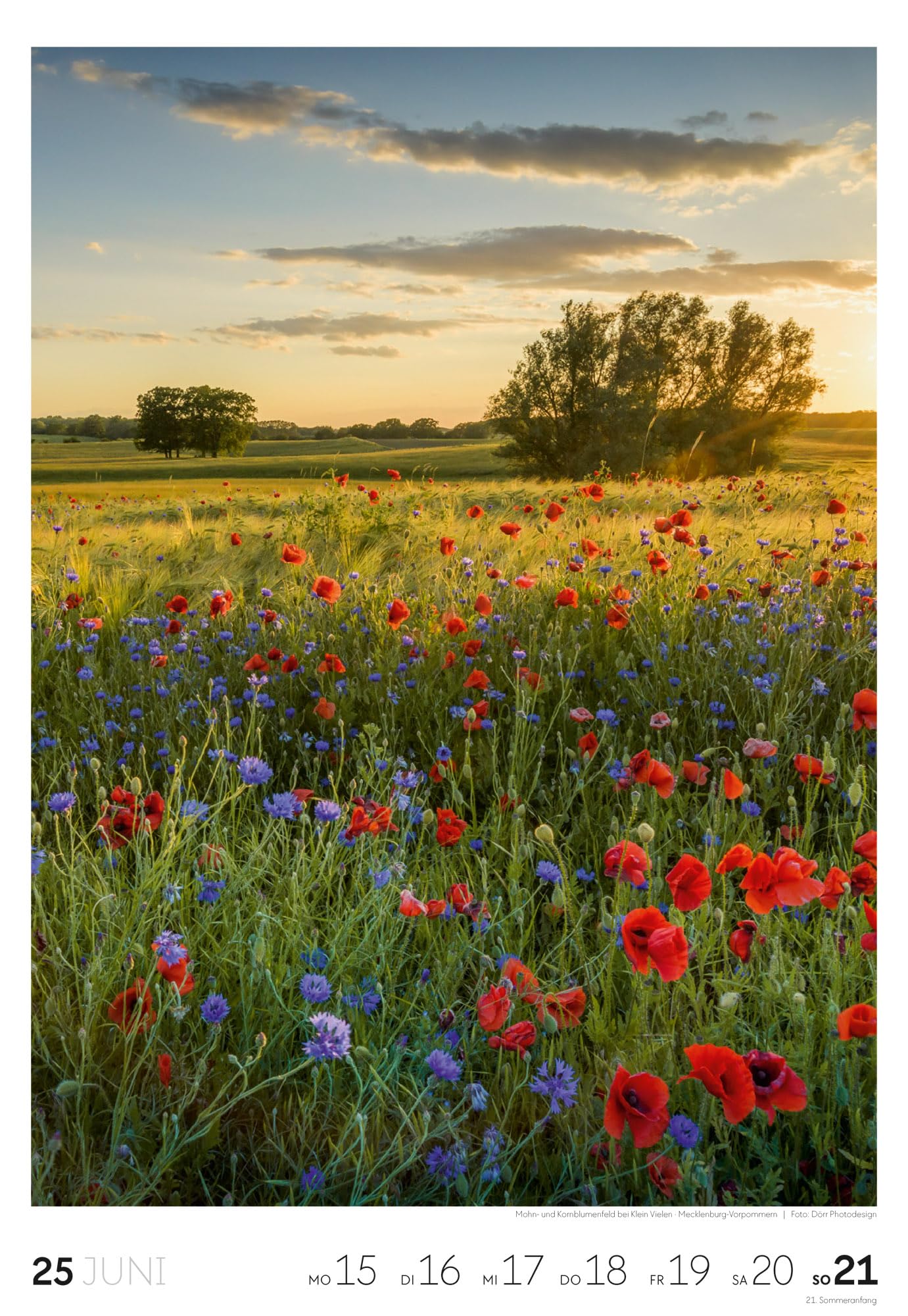 Natur Wochenkalender 2026 | Natur-Kalender mit 53 großformatigen Bildern im Hochformat (29x42 cm) | Heimische Flora und Fauna