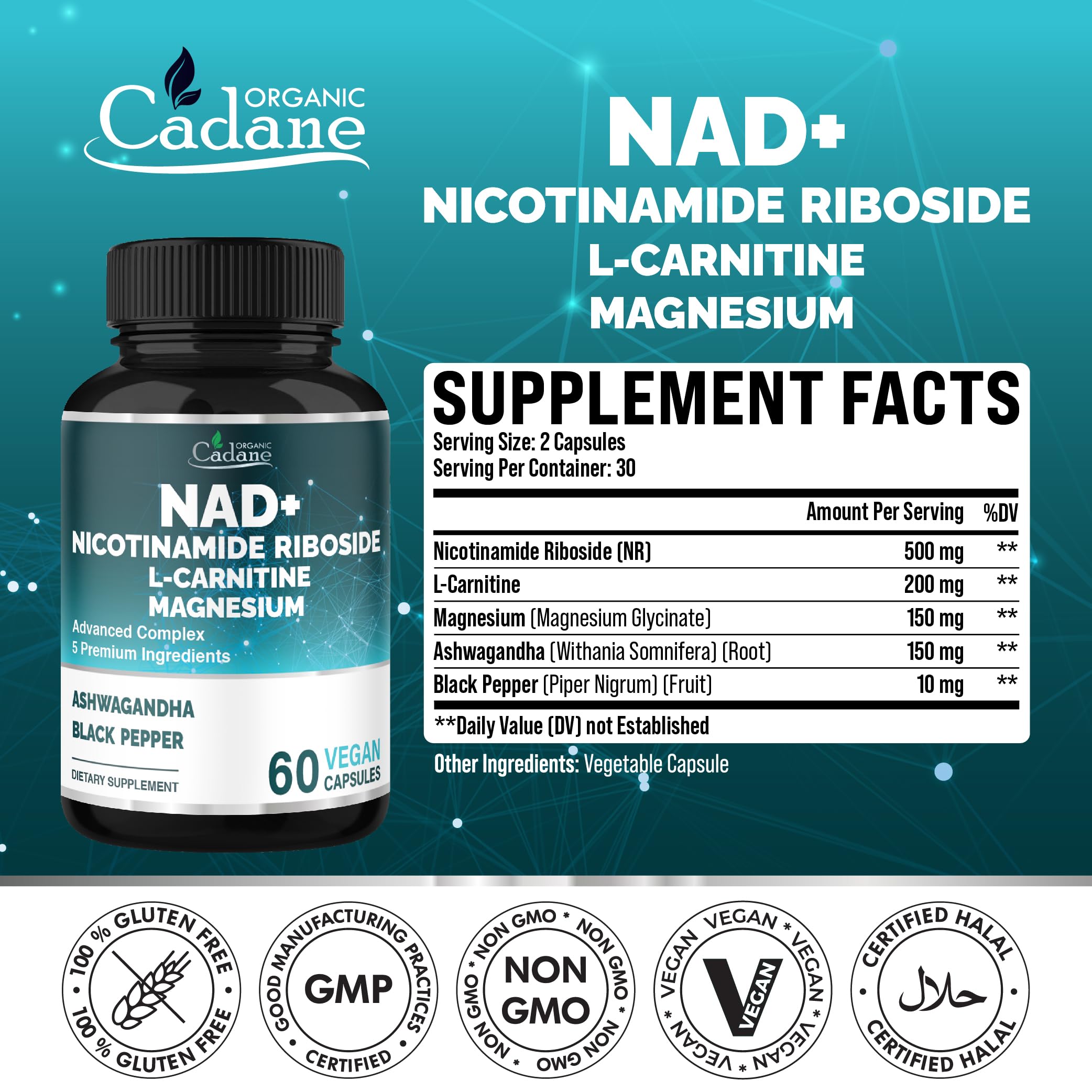magnesium glycinate l carnitine L-Carnitine Dosage Protocol main image 0
