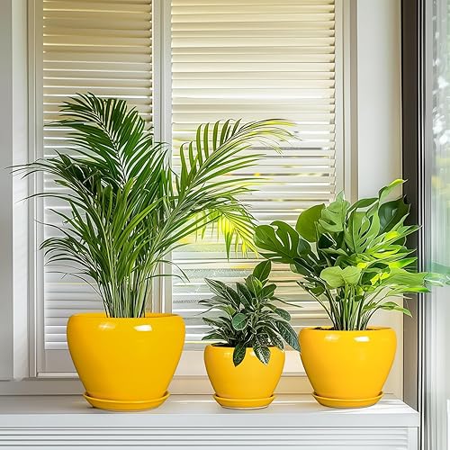 Miniatura 8 de Juego de 3 macetas de cerámica modernas redondas de 10+8+6 pulgadas con agujeros de drenaje y bandejas para plantas de interior y exterior,