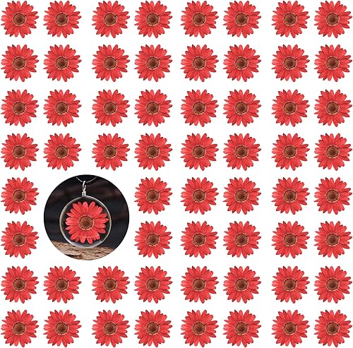 60 flores rojas prensadas girasoles para adornos de manualidades, flores secas naturales de 1.2 pulgadas, margarita grande para joyería de resina,