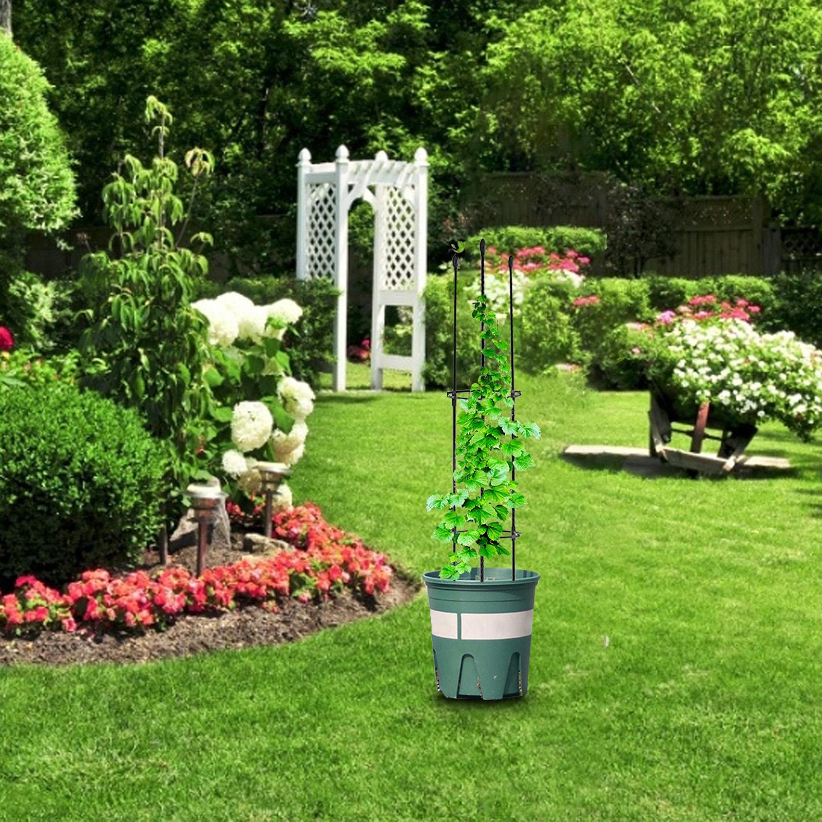 k068 アイアン製 グリーンのトレリス・オベリスク 園芸用支柱 ガーデン用品 楽天市場】オベリスク アイアン トレリス バラ用 ガーデン 支柱 花支え