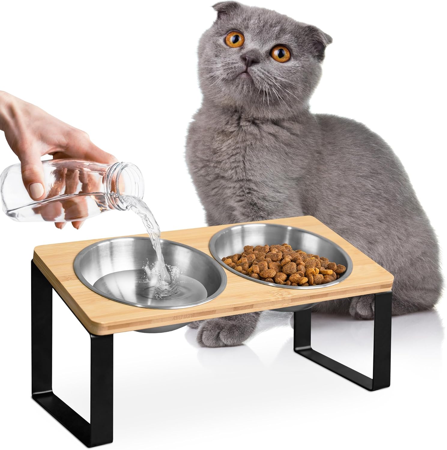 WinTrufflesの屋内猫用隆起猫ボウル、高架猫ボウル、傾いた上昇した嘔吐防止猫皿、食べ物と水用、2個セット ステンレススチール