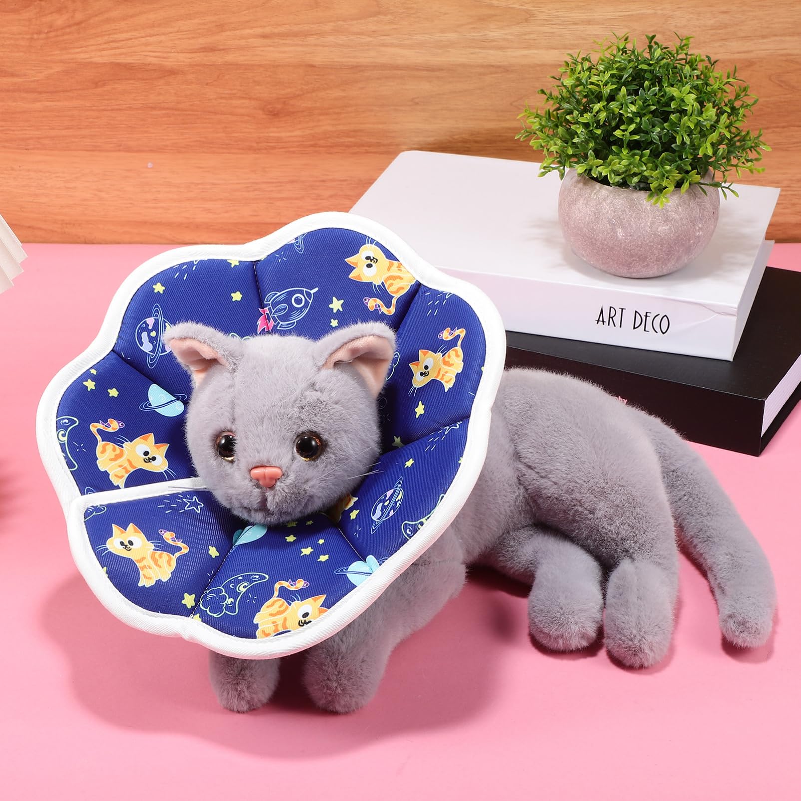 YARNOW 5 Pezzi Di Collare Per Gatti Con Cono Morbido Alternativo Per Gattini Sicuro E Delicato Per Luso