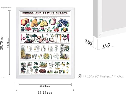 Miniatura 448 de Poster Master Póster vintage de orquídea, estampado de flores retro, arte de pared de plantas exóticas, arte botánico, regalo para hombres y