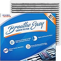 Vista 79 de Filtro de cabina AC y calefactor de defensa contra olores Spearhead Breathe Easy Compatible con 08-11 Accent, 07-16 Elantra/13-14 Coupe/13-17 GT