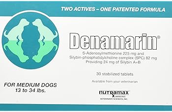 dusky conure for sale