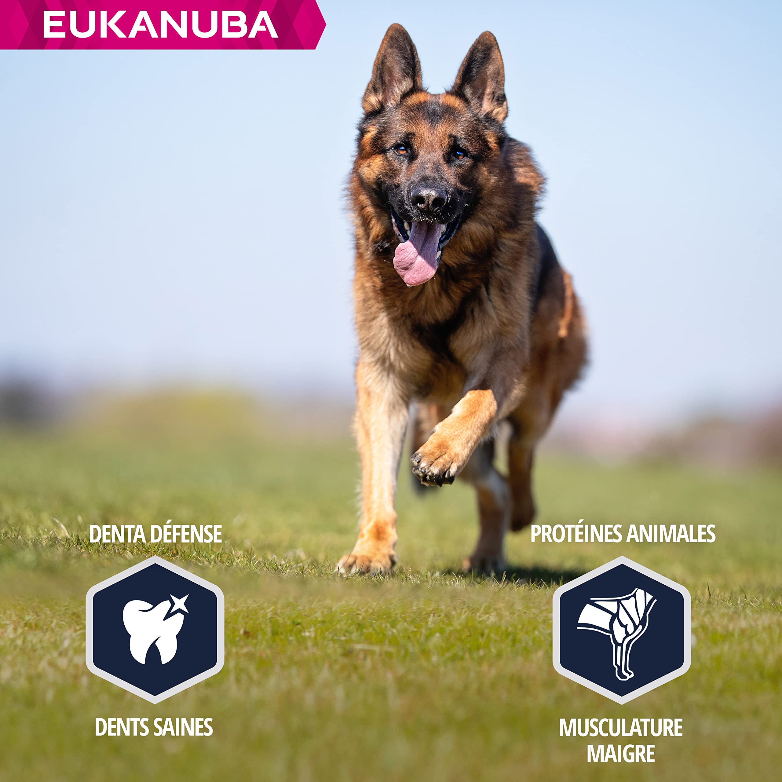 Eukanuba Chien Nourriture sèche Berger Allemand Poulet 12kg