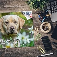 Vista 818 de Razas de Perros 2017