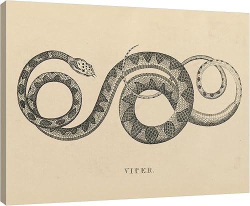 Jaxson Rea Wild Apple Portfolio - Lienzo envuelto en lienzo vintage de Viper Crop Gallery de 45 x 36 pulgadas