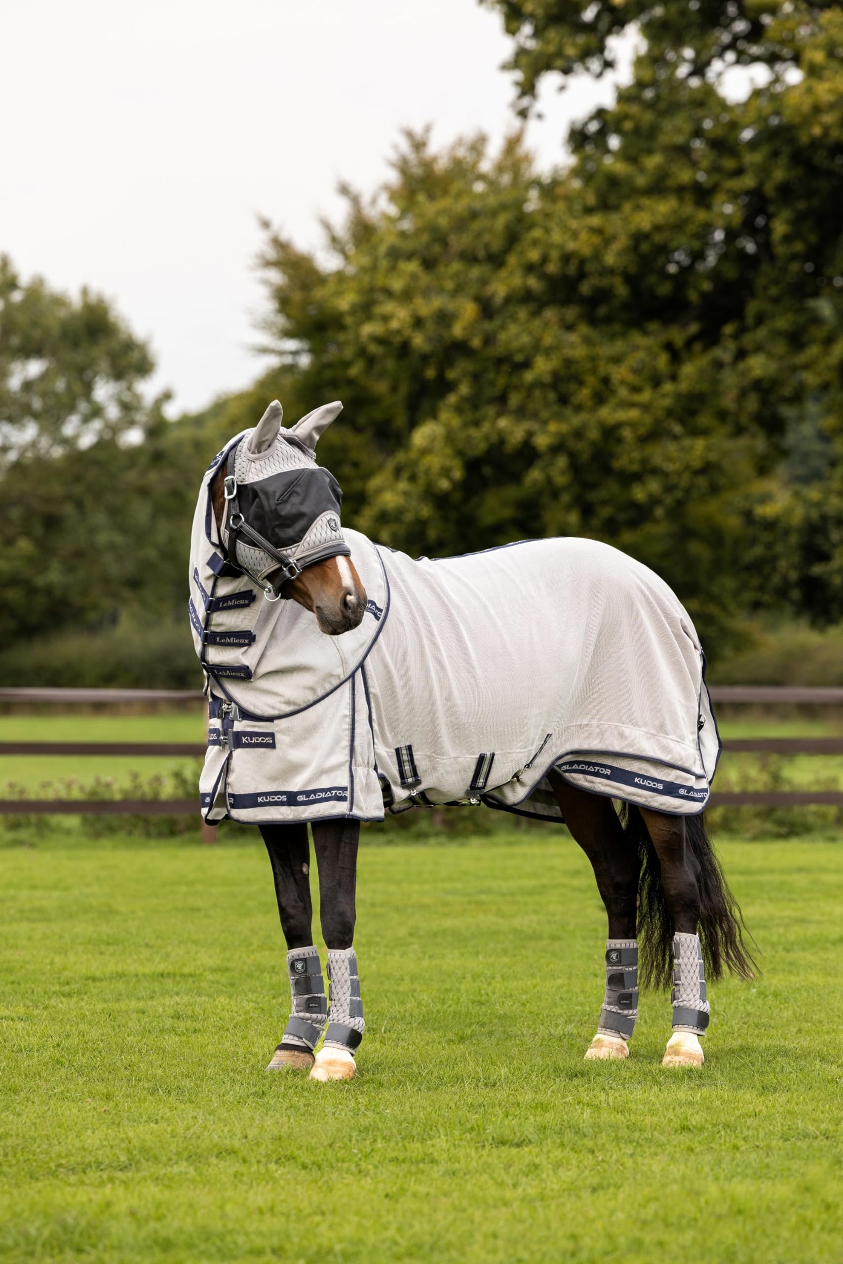 LeMieux Kudos Gladiator Fly Blanket Silver - UV Protection - Detachable Neck - 66