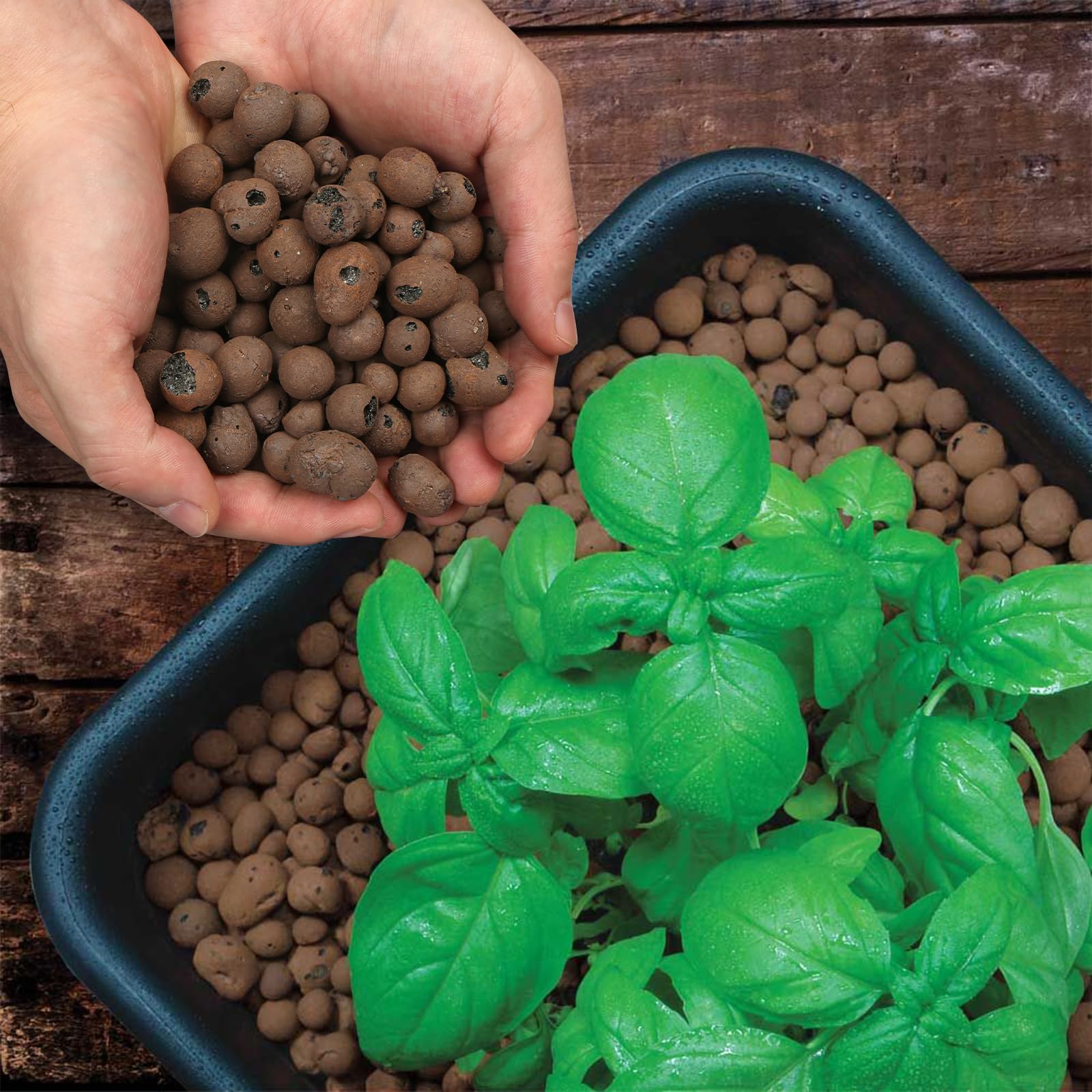 GOTVUGE Clay Pebbles Leca Balls for Plants,Clay Balls for Hydroponic Terrarium, Potted Plants, Lightweight & Drainage (4L) - Image 4