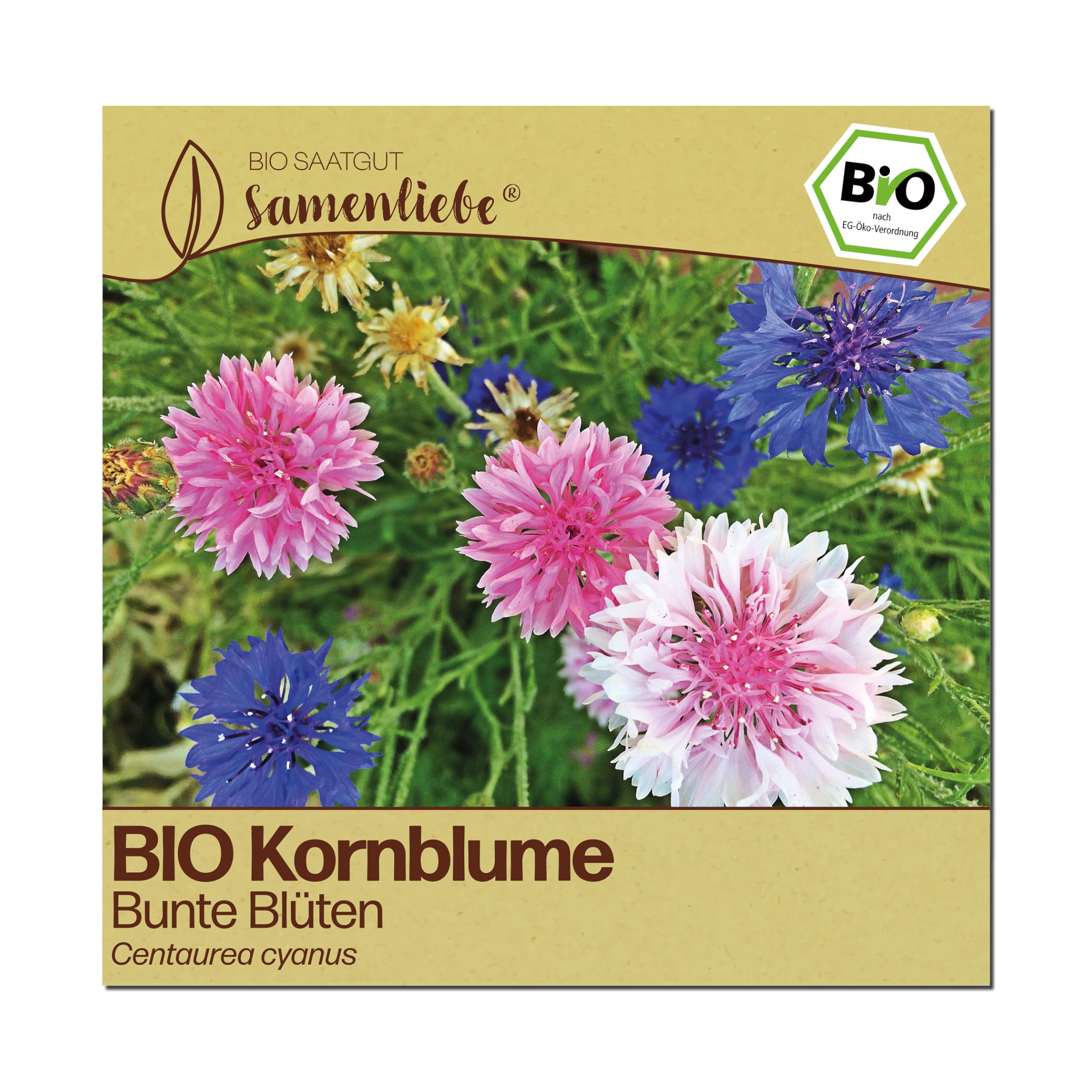 Samenliebe BIO Kornblumen Samen | Schnittblume - bunte Blüten - samenfestes BIO Saatgut