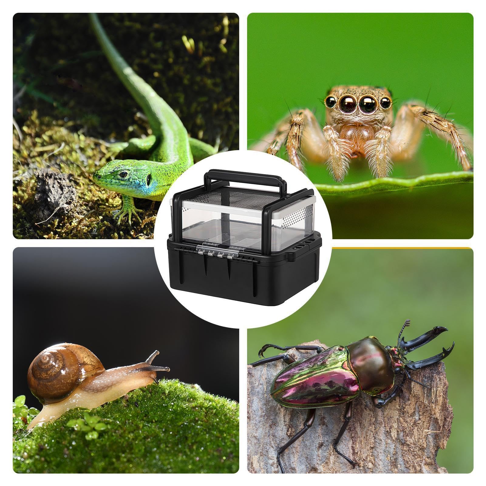 Amazon | 爬虫類の餌箱 - カメの生息地ケージ |透明爬虫類飼育箱 |屋外